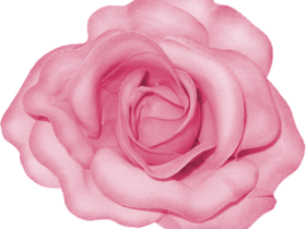 BVS_pink_valentine_bt_flower02