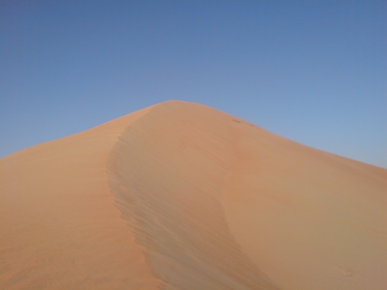صحراء الامارات - قويسرة