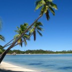 plantation island fiji