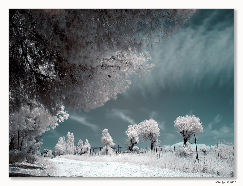 1510539-30996c2678682178_1_