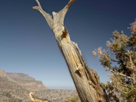 صور من ابداع اعضاء عمان فوتو