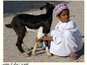 صور من ابداع اعضاء عمان فوتو