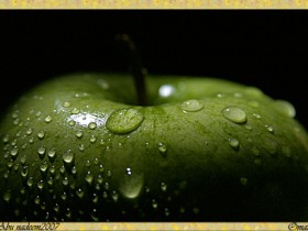 صور من ابداع اعضاء عمان فوتو
