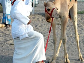 صور من ابداع اعضاء عمان فوتو