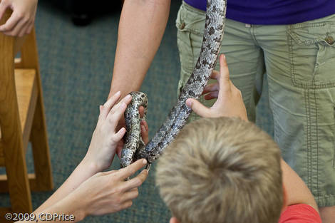 صور منوعة من الإنترنت