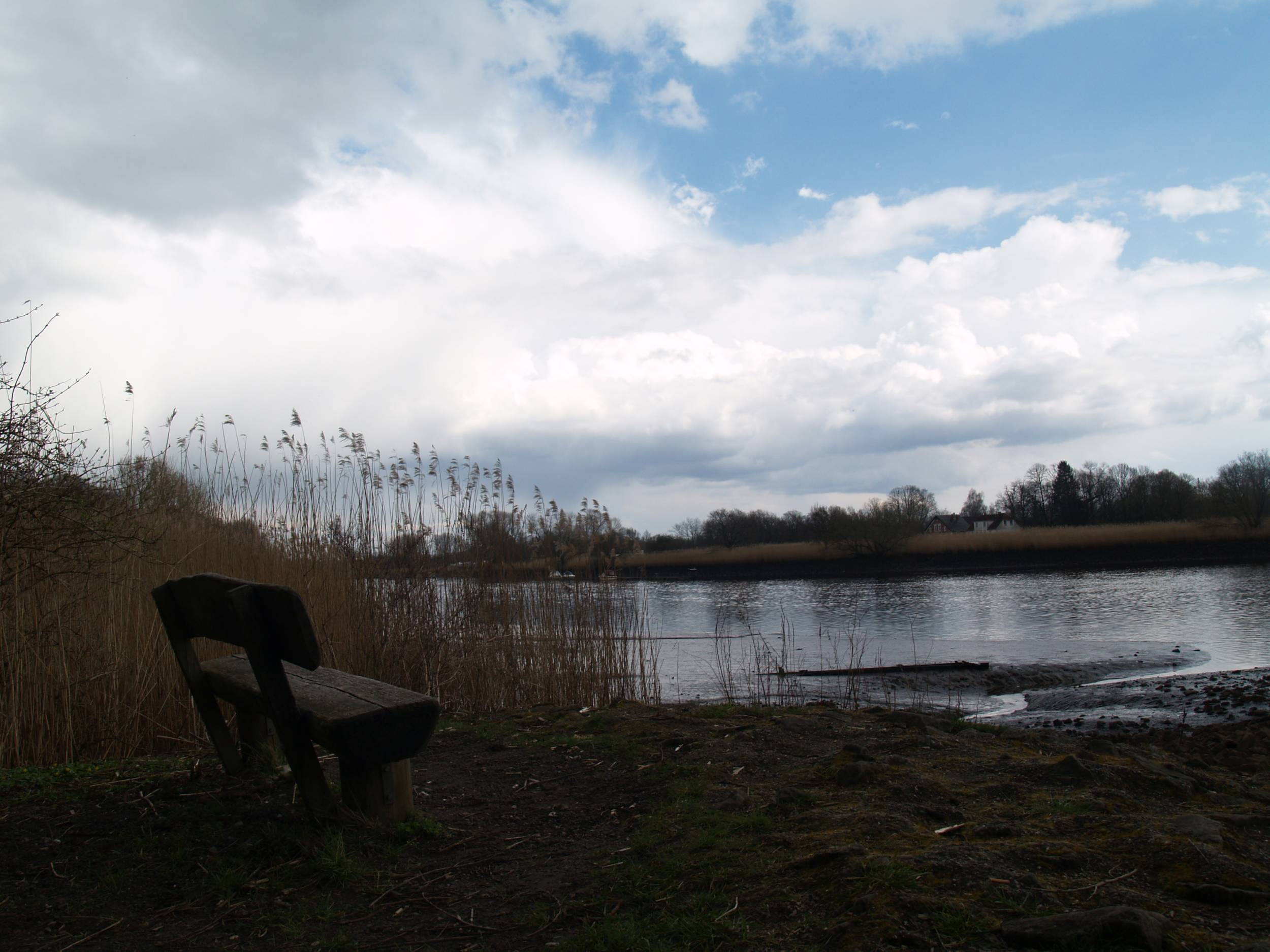 طبيعة من في جزاك