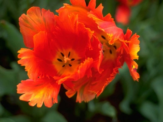 PTBL0173