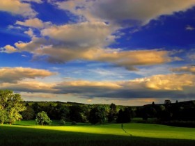 1209379184_21_04_2008_08574280012087_1_