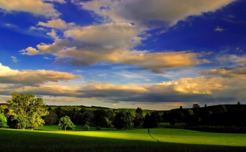 1209379184_21_04_2008_08574280012087_1_