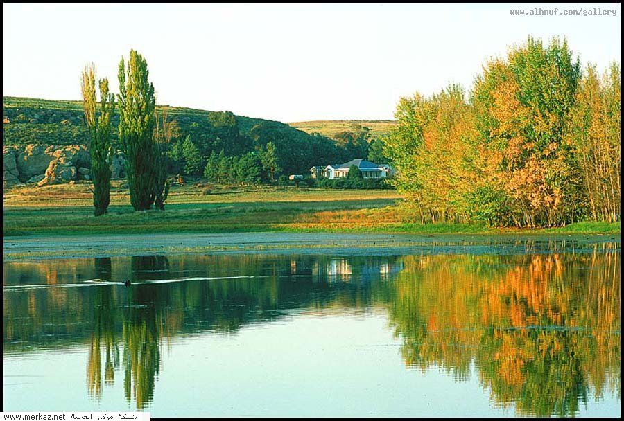 nice_pic_design_photo_34_1_