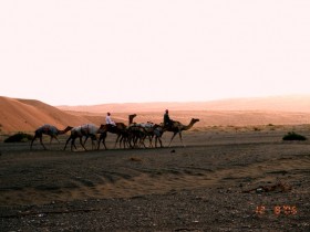 صور من ابداع اعضاء عمان فوتو