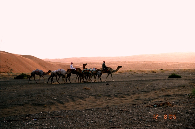 صور من ابداع اعضاء عمان فوتو