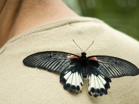 صور من ابداع اعضاء عمان فوتو