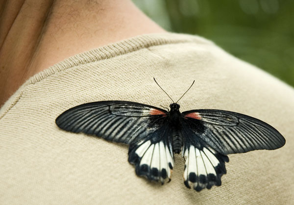 صور من ابداع اعضاء عمان فوتو