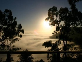 صور منوعة من الإنترنت