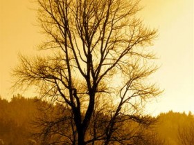 صور منوعة من الإنترنت