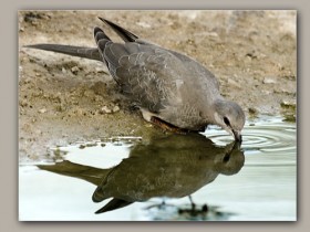 صور من ابداع اعضاء عمان فوتو