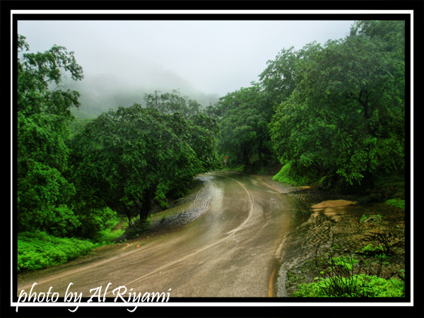 صور من ابداع اعضاء عمان فوتو