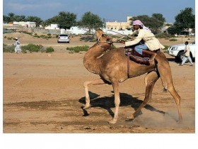 صور من ابداع اعضاء عمان فوتو