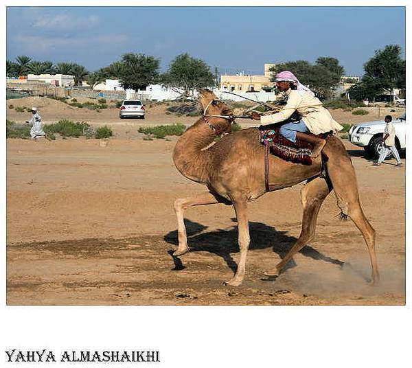 صور من ابداع اعضاء عمان فوتو