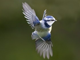 صور منوعة من الإنترنت