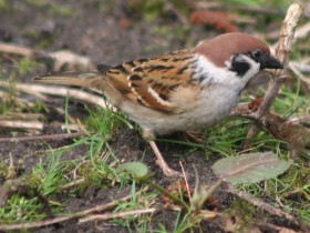 صور منوعة من الإنترنت