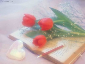 وحيد بجروحه
