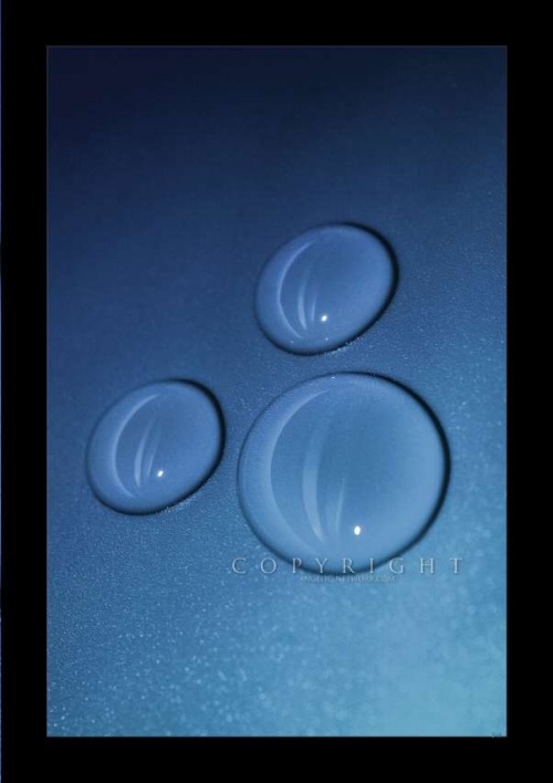 4_1198076421_1_