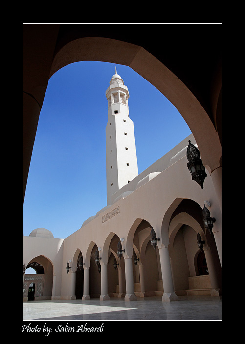 صور من ابداع اعضاء عمان فوتو