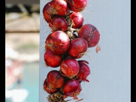 صور من ابداع اعضاء عمان فوتو