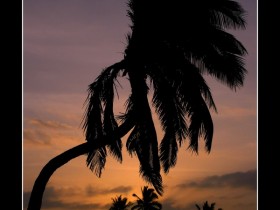 صور من ابداع اعضاء عمان فوتو