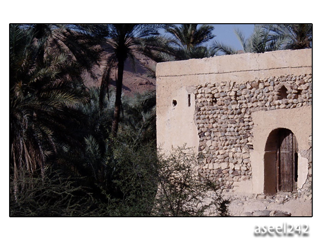 صور من ابداع اعضاء عمان فوتو