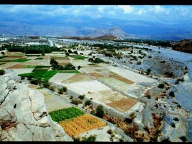 صور من ابداع اعضاء عمان فوتو
