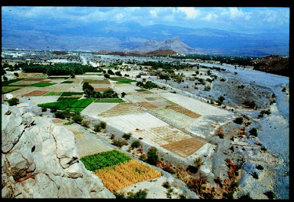 صور من ابداع اعضاء عمان فوتو