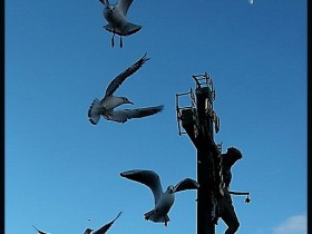 صور منوعة من الإنترنت