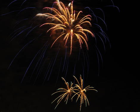 صور منوعة من الإنترنت
