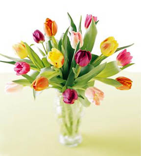 It is for u