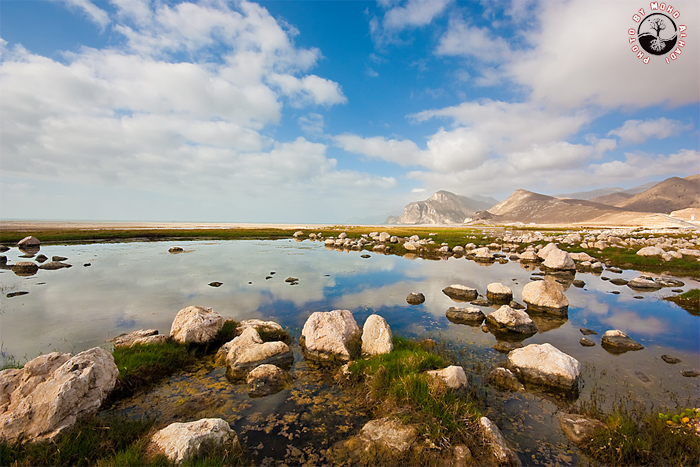 صور من ابداع اعضاء عمان فوتو