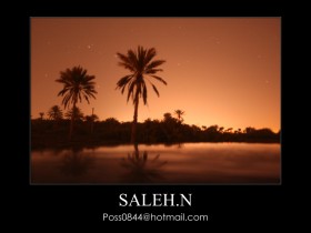 صور من ابداع اعضاء عمان فوتو