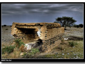 صور من ابداع اعضاء عمان فوتو