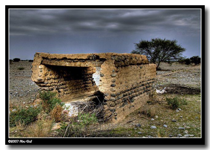 صور من ابداع اعضاء عمان فوتو