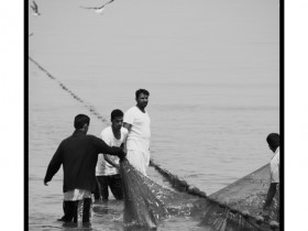 صور من ابداع اعضاء عمان فوتو
