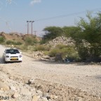 رالي عمان