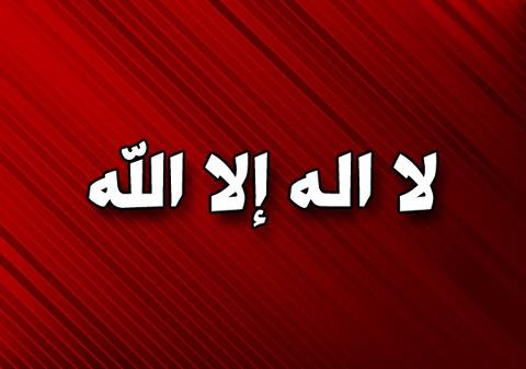 531668_617910574898896_943663837_n