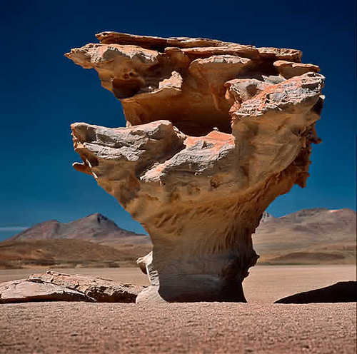 2046036478_240cf9b8a3_1_