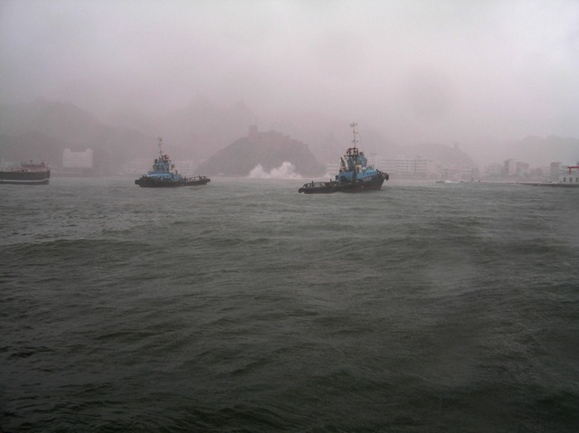 صور من ابداع اعضاء عمان فوتو