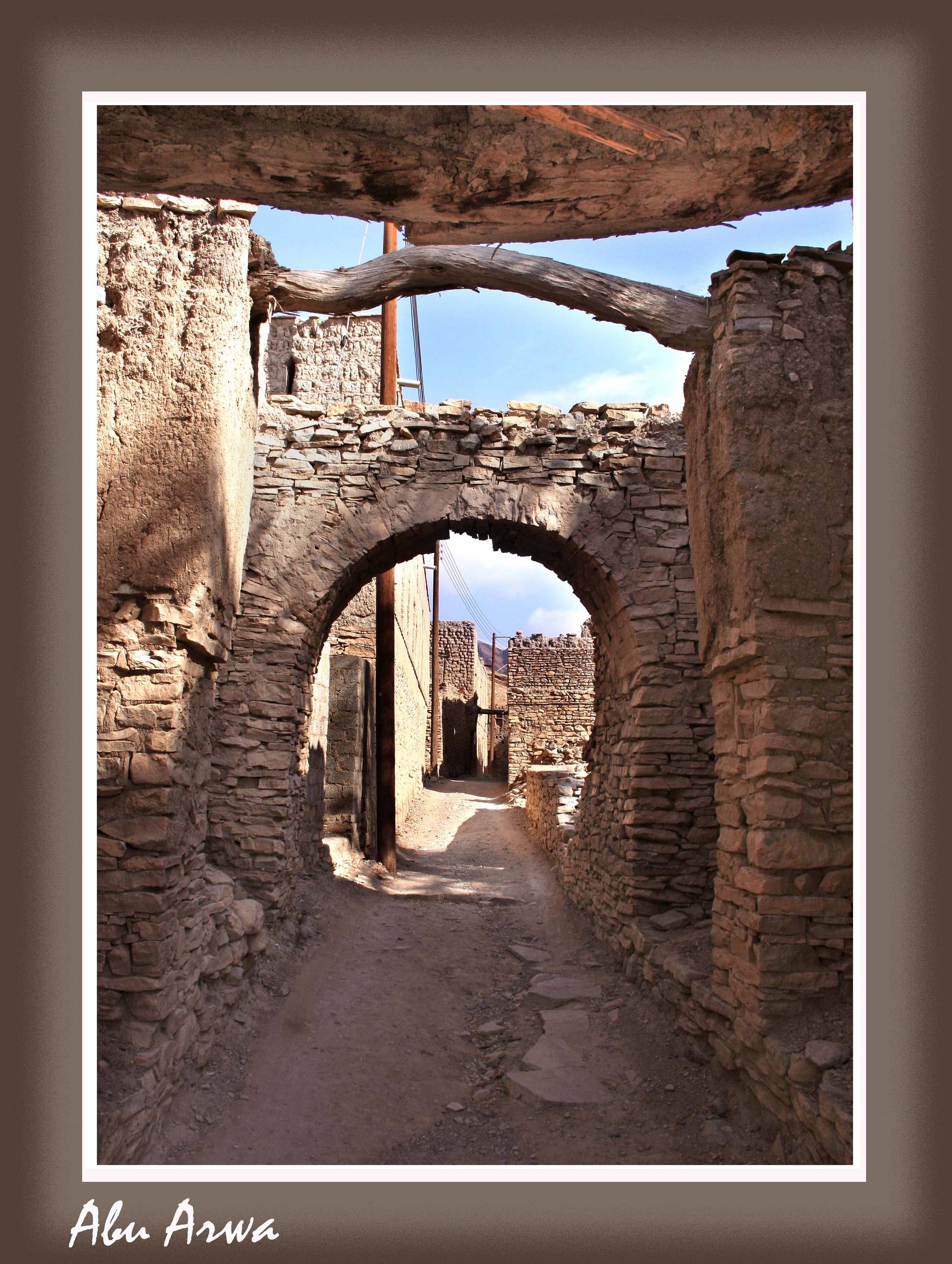 صور من ابداع اعضاء عمان فوتو