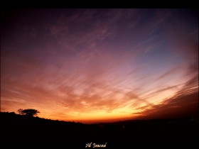 صور من ابداع اعضاء عمان فوتو