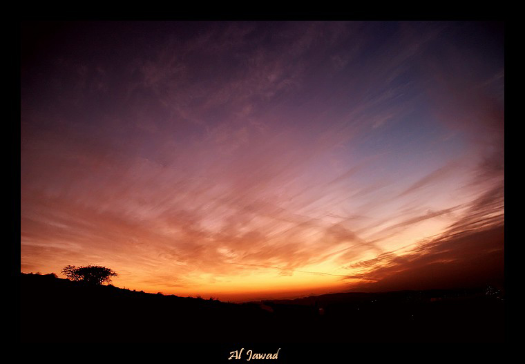 صور من ابداع اعضاء عمان فوتو