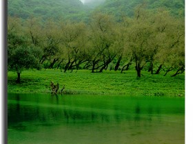 صور من ابداع اعضاء عمان فوتو
